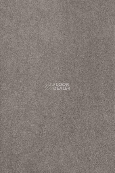 Ковролин AW Masquerade Kai 39 фото 1 | FLOORDEALER